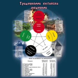 Плакат "5 елемента"
