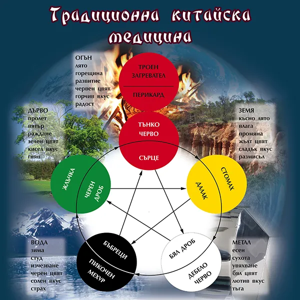 hotey-diagnost-karta-zdrave-usin